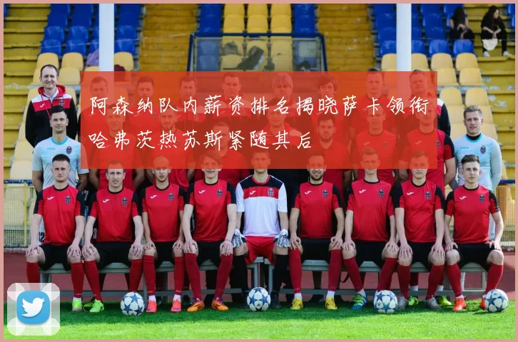 阿森纳队内薪资排名揭晓萨卡领衔哈弗茨热苏斯紧随其后